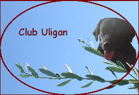 Club Uligan