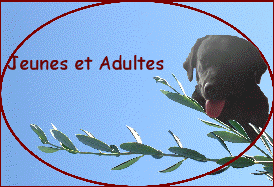 Jeunes et Adultes